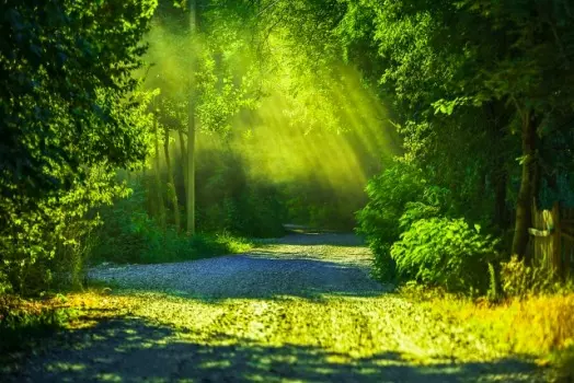 お墓は必要?お墓を持たないで遺骨を供養する方法
