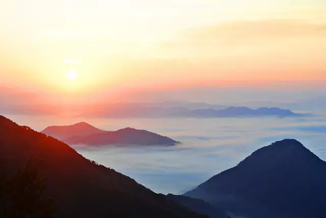 自然葬の種類は何がある?海洋葬・樹木葬も解説!