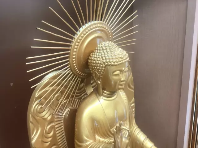 浄土真宗でも永代供養はできる?納骨堂や樹木葬の費用も解説