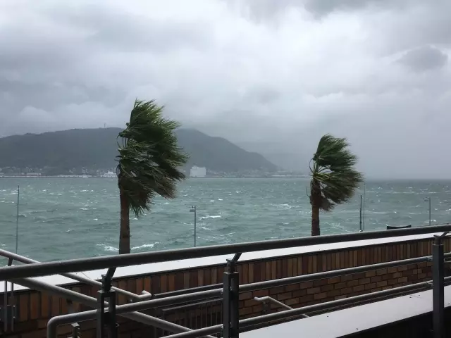 お墓の台風対策！台風被害があったら墓石はどう修理する？