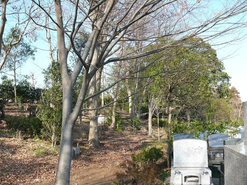 環境霊園レポート画像14