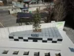 韮塚共同墓地　樹木葬