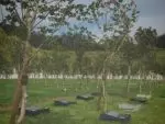 公益財団法人 相模メモリアルパーク 湘南森林霊園 公益財団法人 相模メモリアルパーク 湘南森林霊園