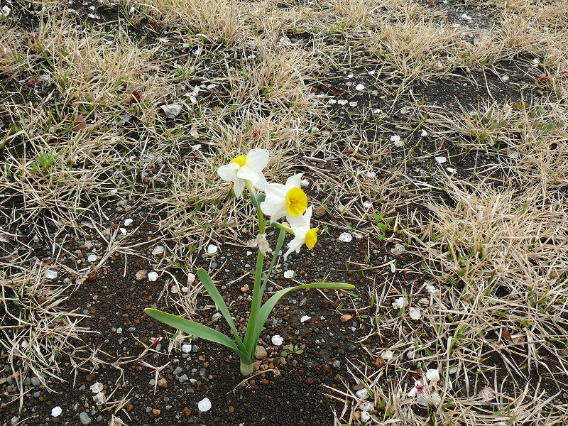 森林霊園見学レポ61