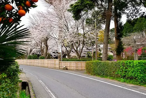 法巌寺　のうこつぼ_8