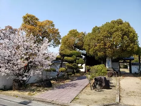 蓮花寺　のうこつぼ_5