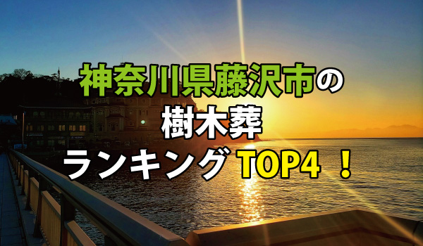 藤沢市の樹木葬人気ランキングTOP4!お墓の費用・資料請求