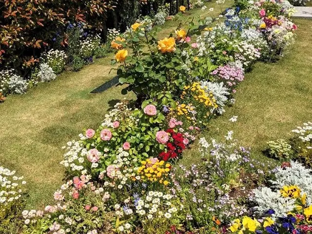 板橋　樹木葬　ほほえみの樹_4