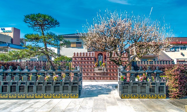 大信寺 永代供養墓・樹木葬 大信寺 永代供養墓・樹木葬