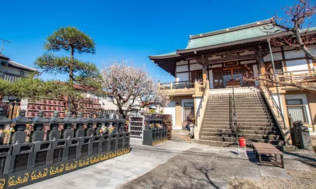 大信寺　永代供養墓・樹木葬_6