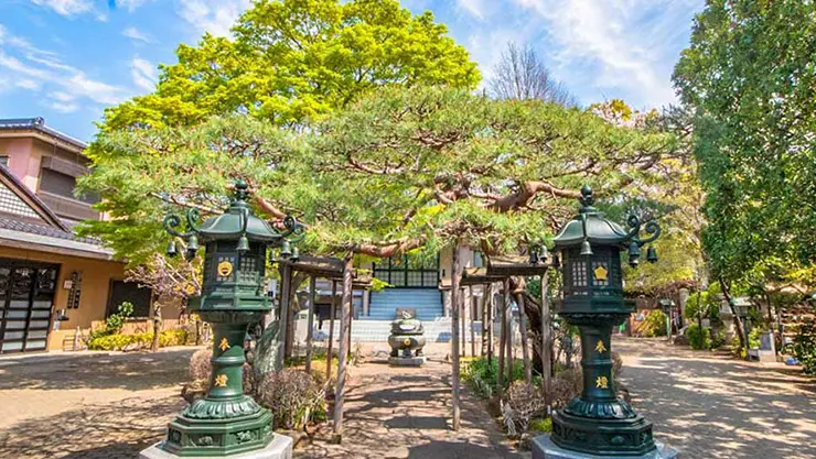 一乗院　永代供養墓・樹木葬_10