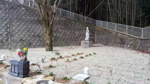 やすらぎ県民霊園　樹木葬・永代供養墓_0