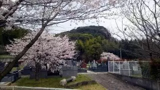 やすらぎ県民霊園　樹木葬・永代供養墓_4