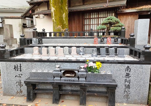 正德寺 欅の杜 樹木葬 樹 風景4