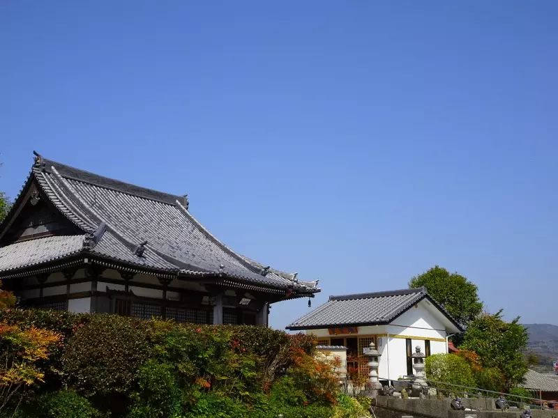 願成寺（田辺市）_10