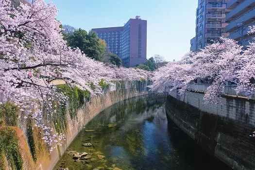 永泉寺　永代供養墓_9