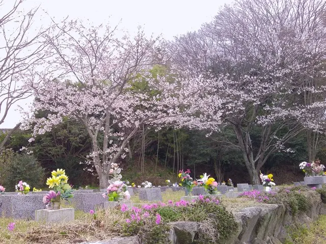 みどりが丘霊園_4