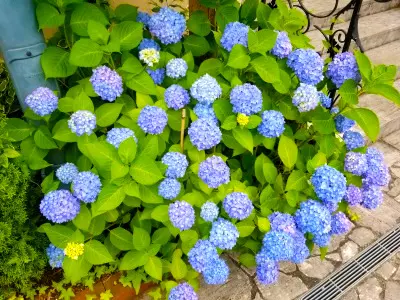 メモリアルガーデン藤沢8