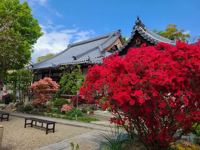 淨國寺　永代供養墓・樹木葬_6