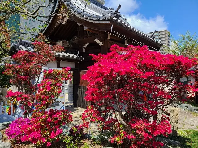 淨國寺　永代供養墓・樹木葬_9