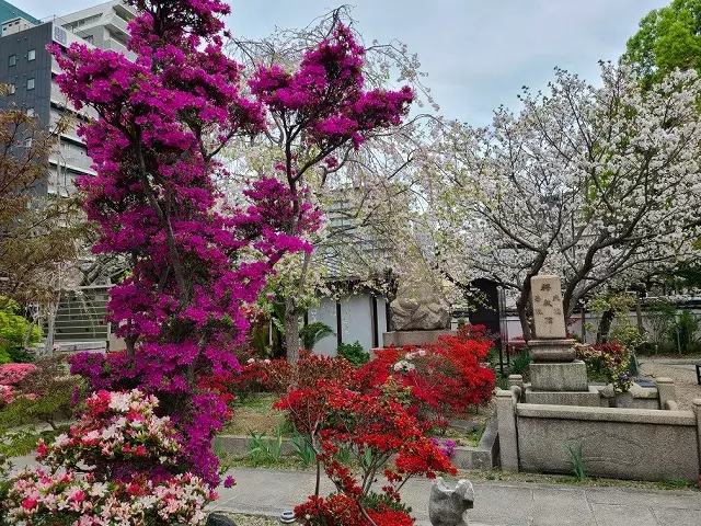 淨國寺　永代供養墓・樹木葬_5