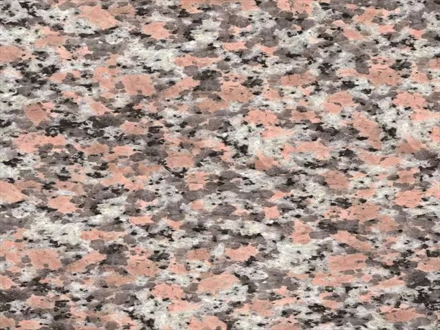庵治細目_R