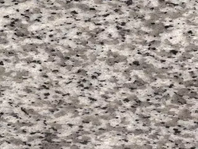 稲田_R