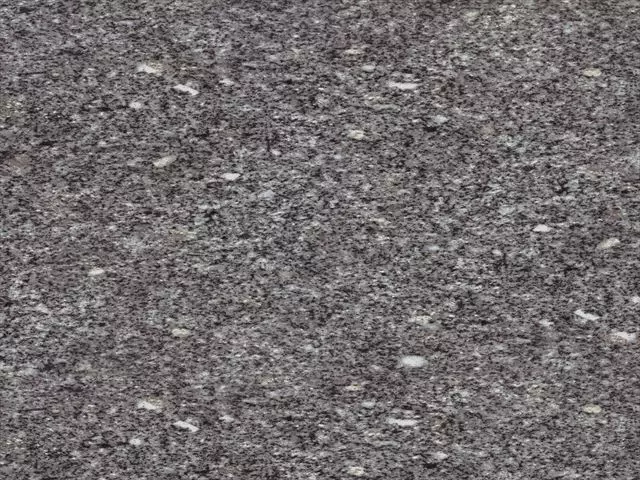 青糠目_R