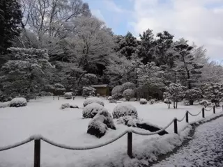 東福寺　即宗院　自然苑_3