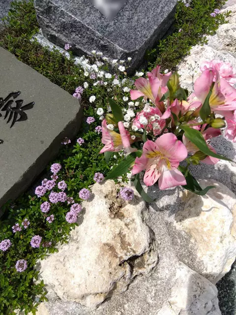 プレミアム小田原シーサイド共葬樹木葬墓地_4