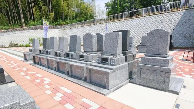 湘南エバーグリーン_11