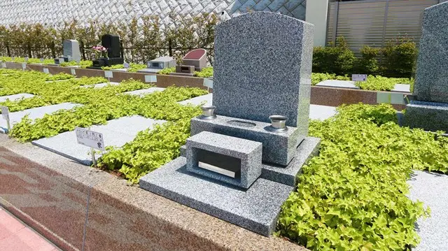 湘南エバーグリーン_8