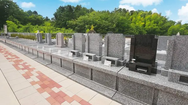 湘南エバーグリーン_12