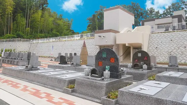 湘南エバーグリーン_9