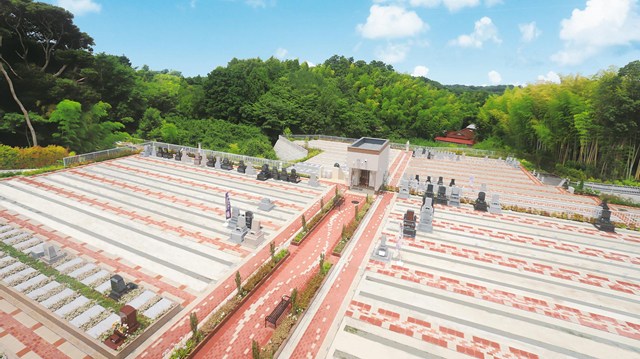 湘南エバーグリーン 湘南エバーグリーン