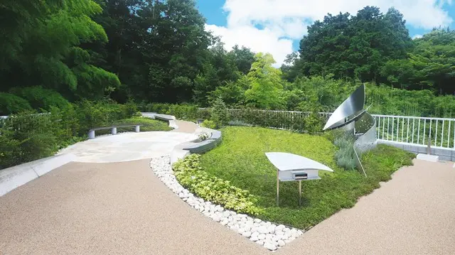 湘南エバーグリーン_13