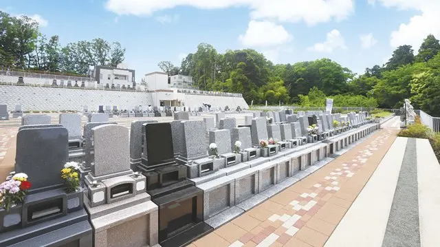 湘南エバーグリーン_3