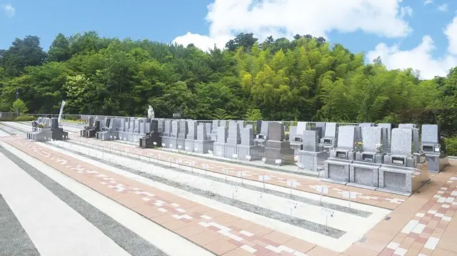 湘南エバーグリーン_4