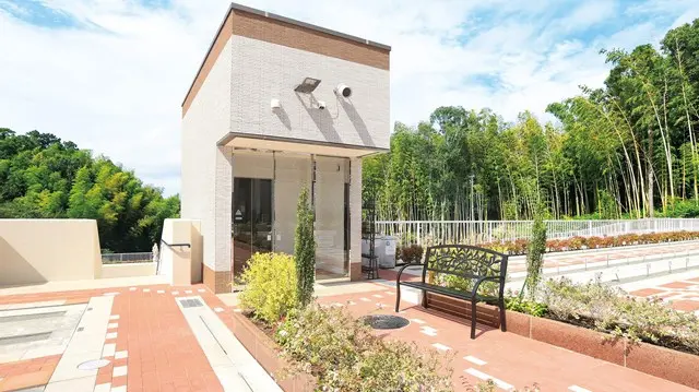 湘南エバーグリーン_6