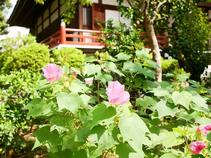 船橋霊苑 正延寺_3