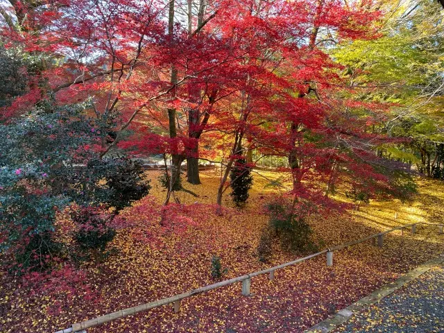 八王子高尾「手積みレンガの花壇墓地」花ごころ_8