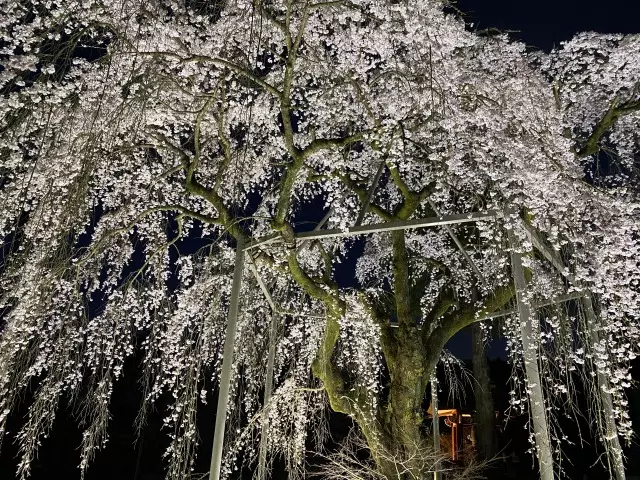 八王子高尾「手積みレンガの花壇墓地」花ごころ_9