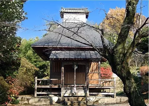 正光寺　日向霊園　永代供養墓・樹木葬_8