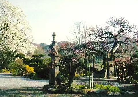 正光寺　日向霊園　永代供養墓・樹木葬_3