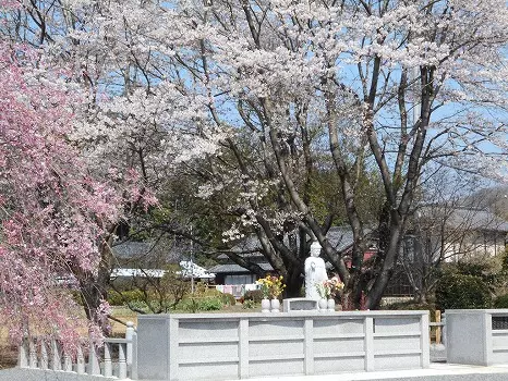 正光寺　日向霊園　永代供養墓・樹木葬_0