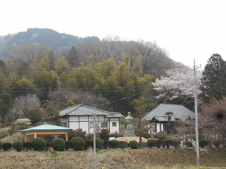 正光寺　日向霊園　永代供養墓・樹木葬_6