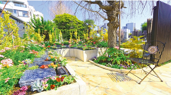 宗参寺 樹木葬 宗参寺 樹木葬