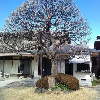 威光寺_4