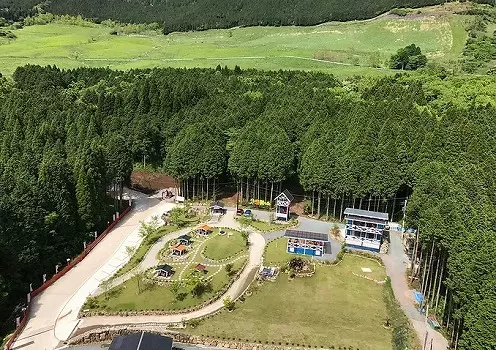 ​未来樹の丘_9