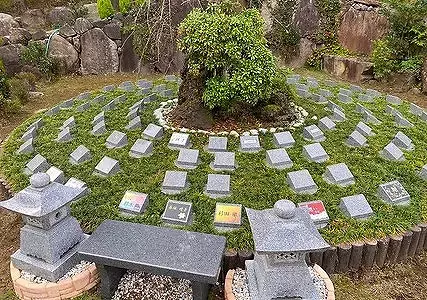 ​未来樹の丘_3